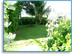 common area-private side yard