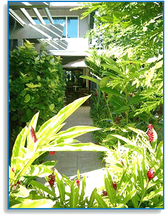 -a Hawaiian tropical entry-